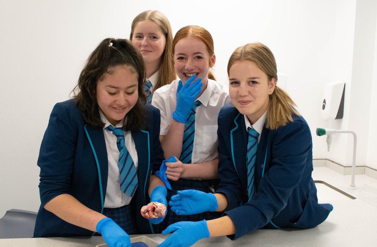 HarrisSutton1's tweet photo. As part of HASU celebration of the British Science Week, our future scientists are working on dissection of hearts in their Biology lesson.
Not for the squeamish though.😅

#BritishScienceWeek2023 #ScienceInAction https://t.co/4gPG79c7yr