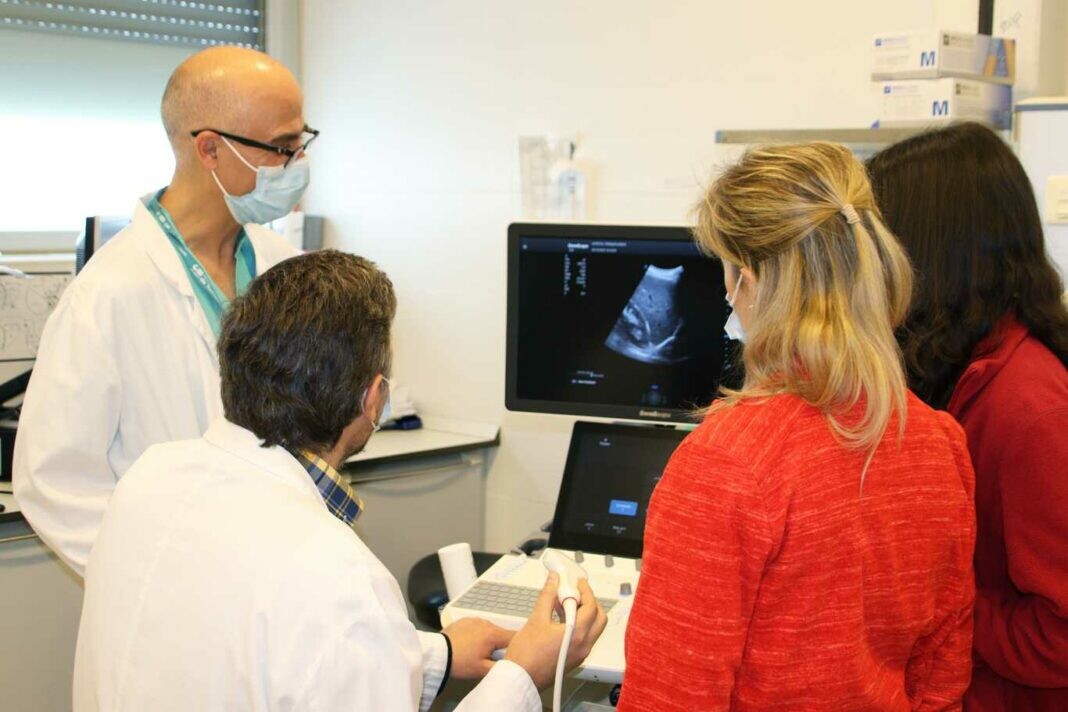 HUdeTorrejon's tweet photo. #INVESTIGACIÓN | 🗣️"Actualmente, los tratamientos disponibles no erradican el virus".
Manuel Van Domselaar, jefe del Servicio de Aparato Digestivo del @HUdeTorrejon🏥, sobre el estudio para eliminar la #HepatitsB del organismo. https://t.co/6GnCGBZNHr
