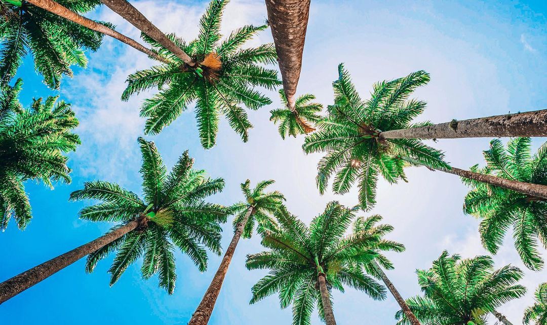 VISIT FLORIDA tweet media