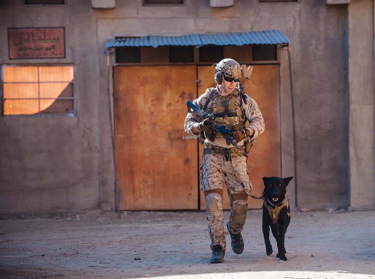 Today we recognize the courage, dedication, and loyalty of the military working dogs that serve alongside their NSW humans. 

#K9VeteranDay #MansBestFriend #Loyalty #Courage #K9 #National #MWD #MilitaryWorkingDog #DogLover