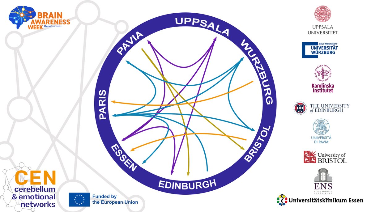 Collaboration is at the heart of this project. 👬🤝👫

We bring together worldwide experts to address the cerebellum's role in controlling emotions, particularly fear and anxiety, to unlock new treatments and therapies for emotional disorders. 

#UnionMakeStrength #BAW23