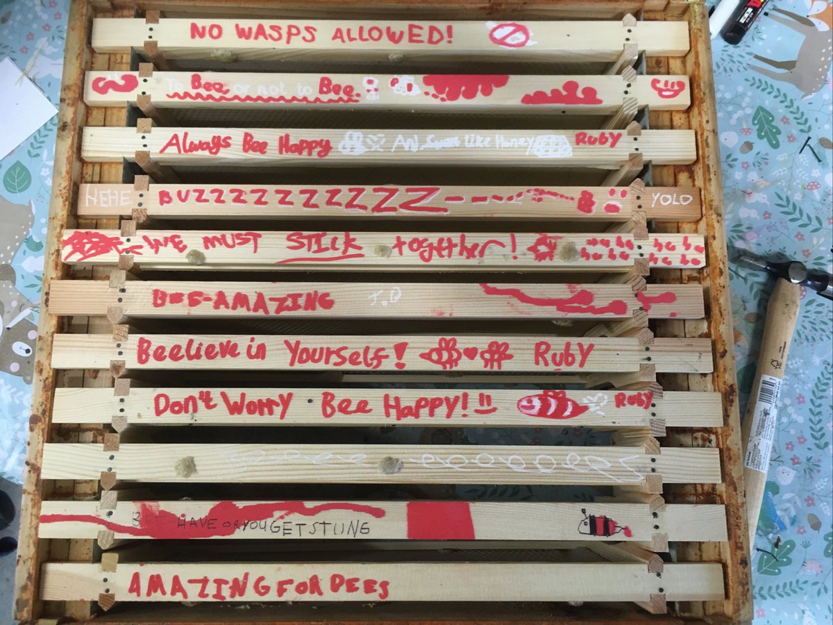 Pure_buzzin's tweet image. Well done to the students at @MonkseatonMid 

This afternoon they rolled beeswax candles and filled a box with frames.

#beekeeper #education #school #candle #pollinators #community #apiary #nature #learning #woodwork