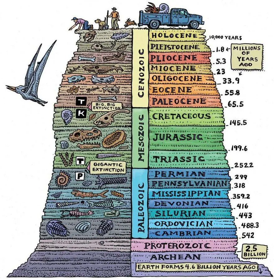 Beautiful geologic timescale. One day I will actually be able to remember the names! Source: buff.ly/2Z48Mks