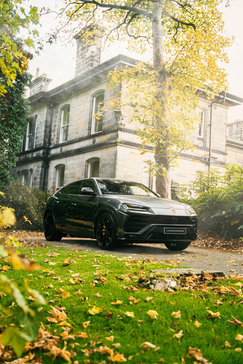 F12 PERFORMANCE tweet media