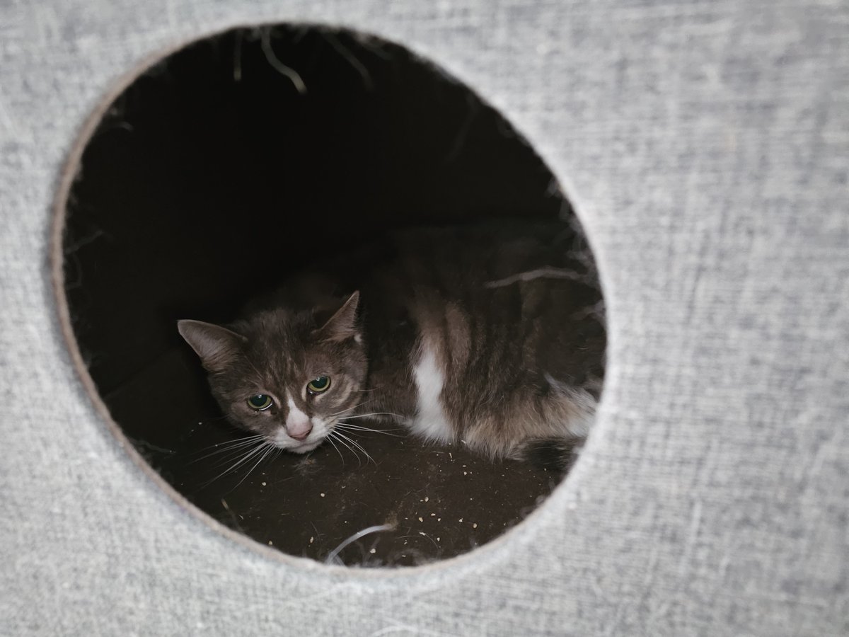 Holly Brockwell tweet media