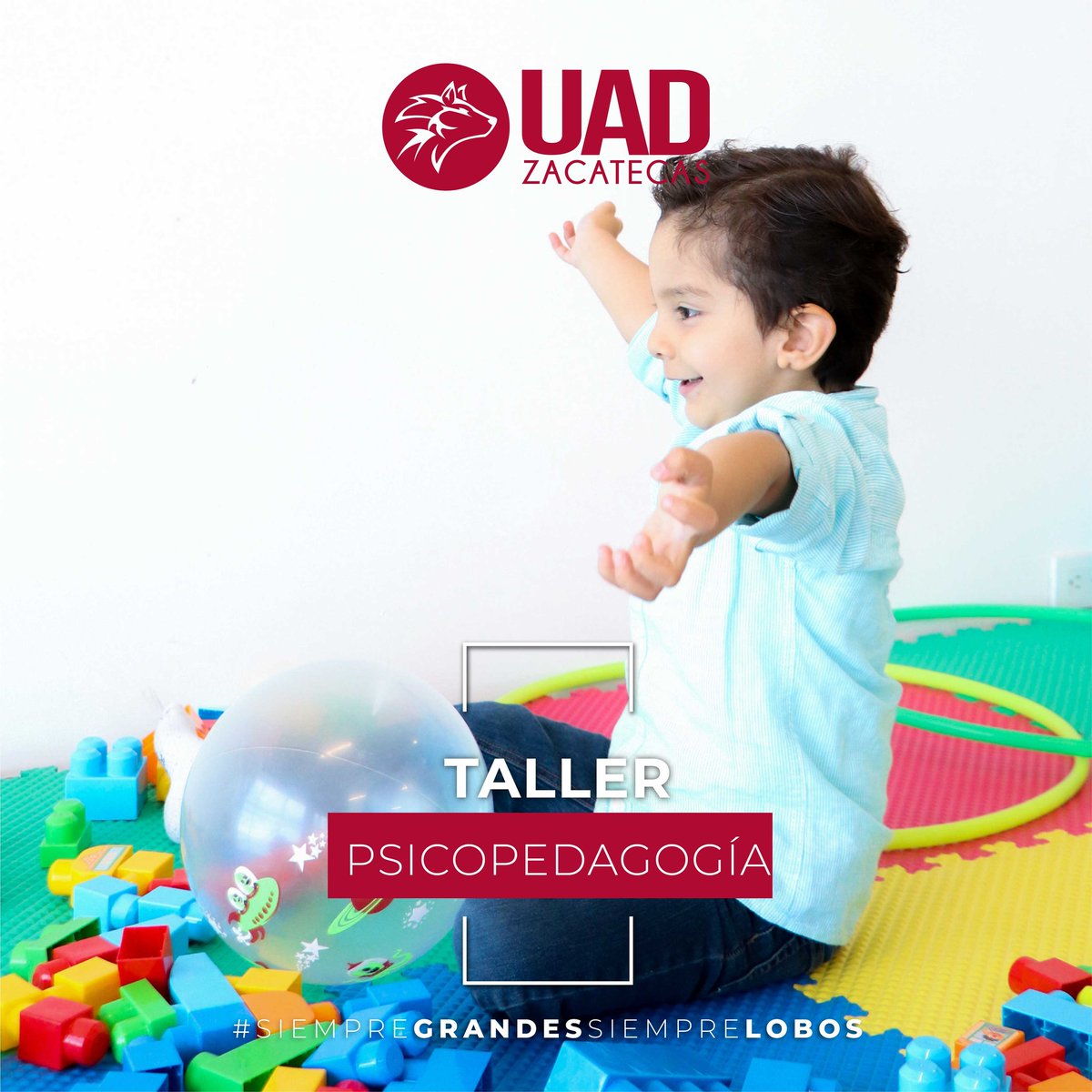 UAD Campus Zacatecas tweet media