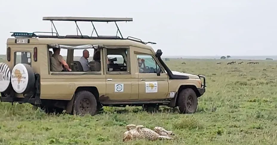 RiverstoneSafa1's tweet photo. Experience the Wonders of the Wild with Your favorite ones as custom as it gets. 🐆🌿

Unforgettable Safari Adventures Await in Our Group Packages https://t.co/MeXON7Dohg
