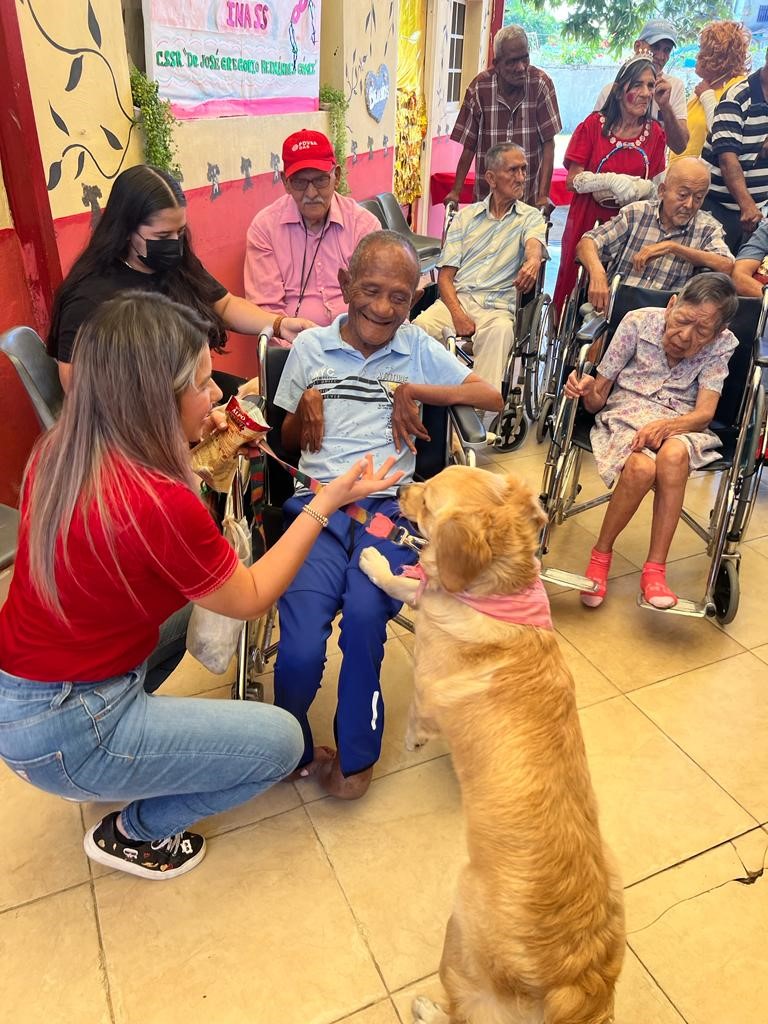 UNoticias's tweet image. Impulsan terapias asistidas con animales en Anzoátegui
La terapia con perros es gratuita y se realiza en escuelas y centros de atención de adultos
#Terapias #Salud #Amordecuatropatas #petfriendly
ultimasnoticias.com.ve/noticias/gener…