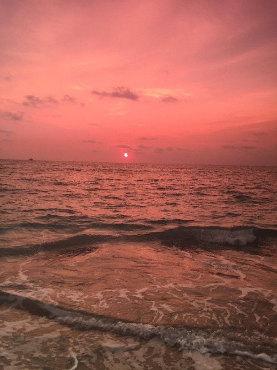 Haluk Sirin (@halukss) on Twitter photo 