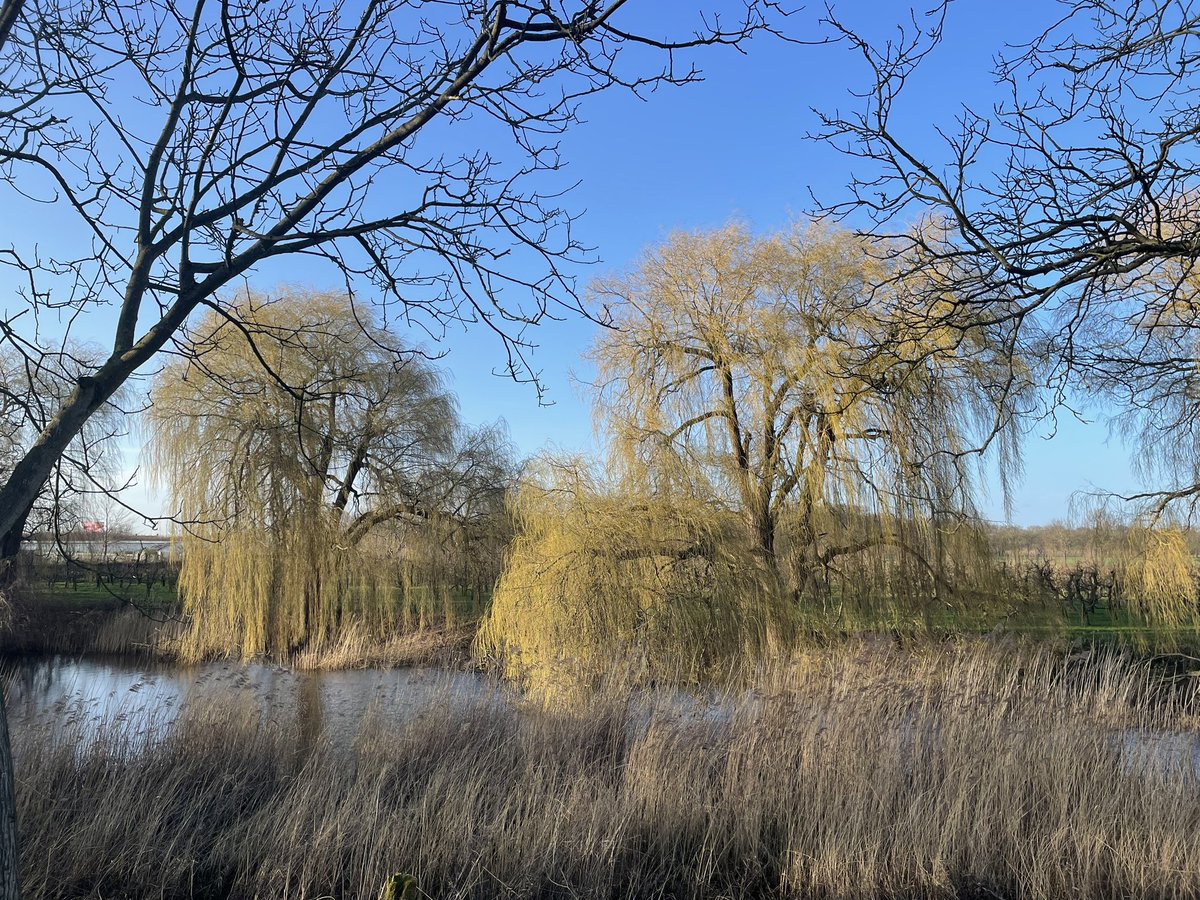 Hilde Backus tweet media