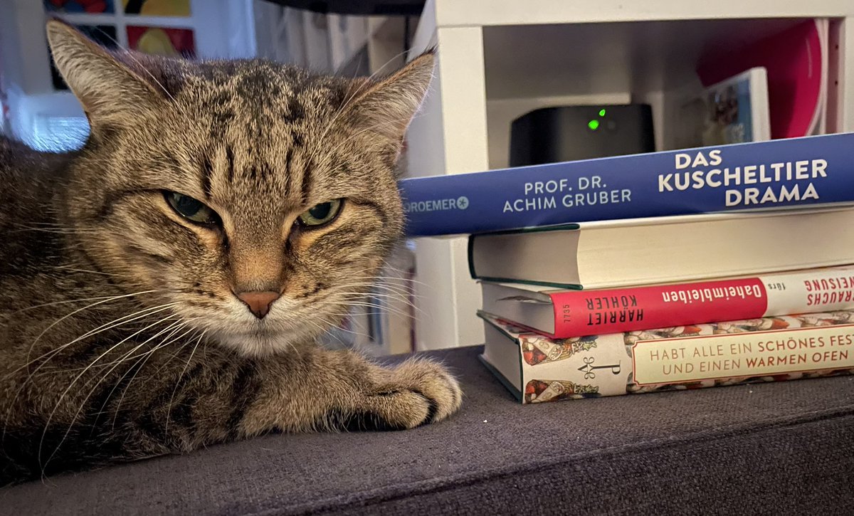 Was muss Miezi sich denken 😼 in welchem Haushalt und bei welcher Literatur sie da gelandet ist