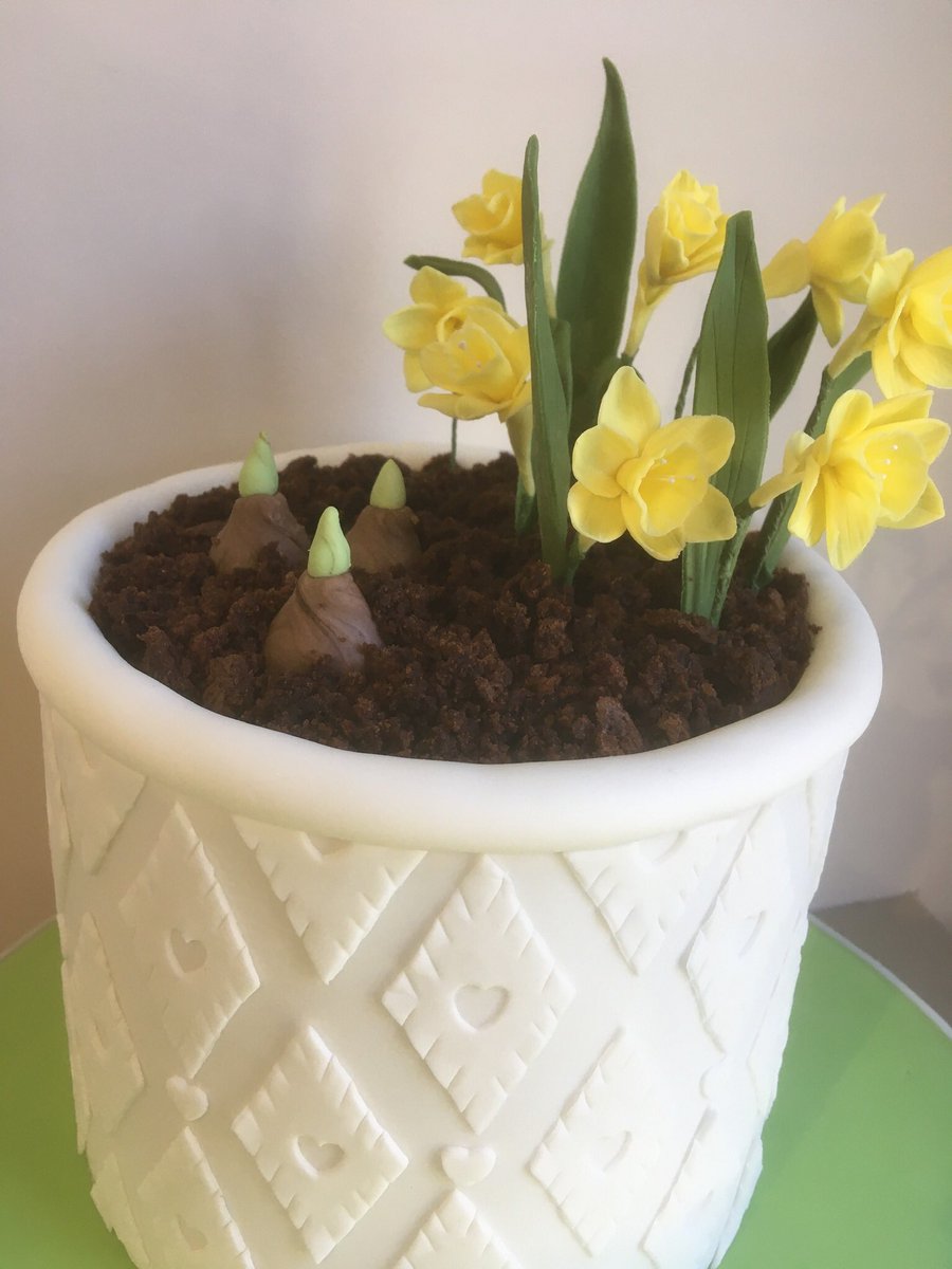 porshamcakesuk's tweet photo. It is Spring.
This cake was a joy to make - all of it edible - the cake, pot, flowers and soil.
#spring2023 #springhassprung #bulbs #porshamcakes #springbirthday #springbirthdaycake #chocolatecake #fooddrinkdevon #tasteofthewest https://t.co/awI0SuRuIY