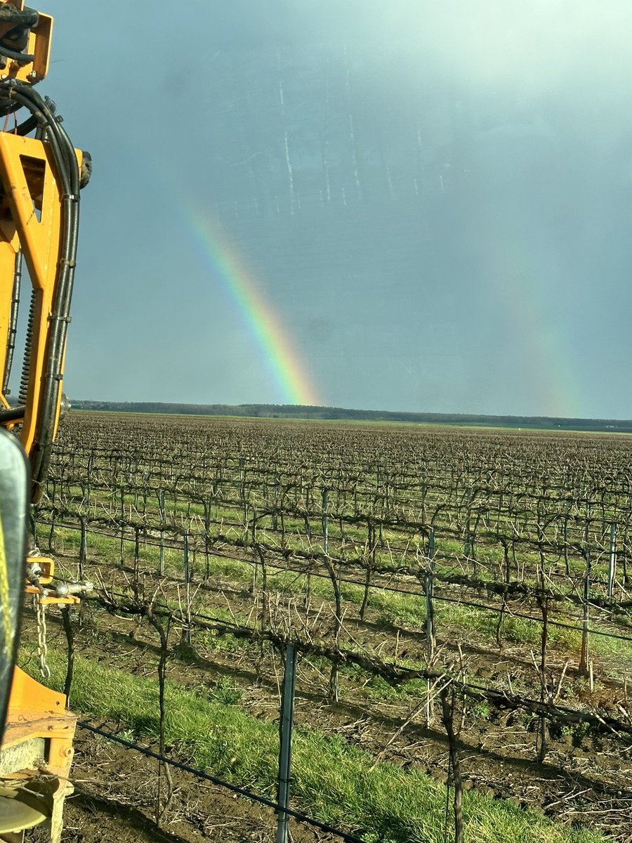 manusim71's tweet photo. Elle est pas belle quand même la vue de mon bureau 🌈🍇🤩 #BorddeLays #vivas #BDS #Bourgogne https://t.co/7nFlD5f6Ks