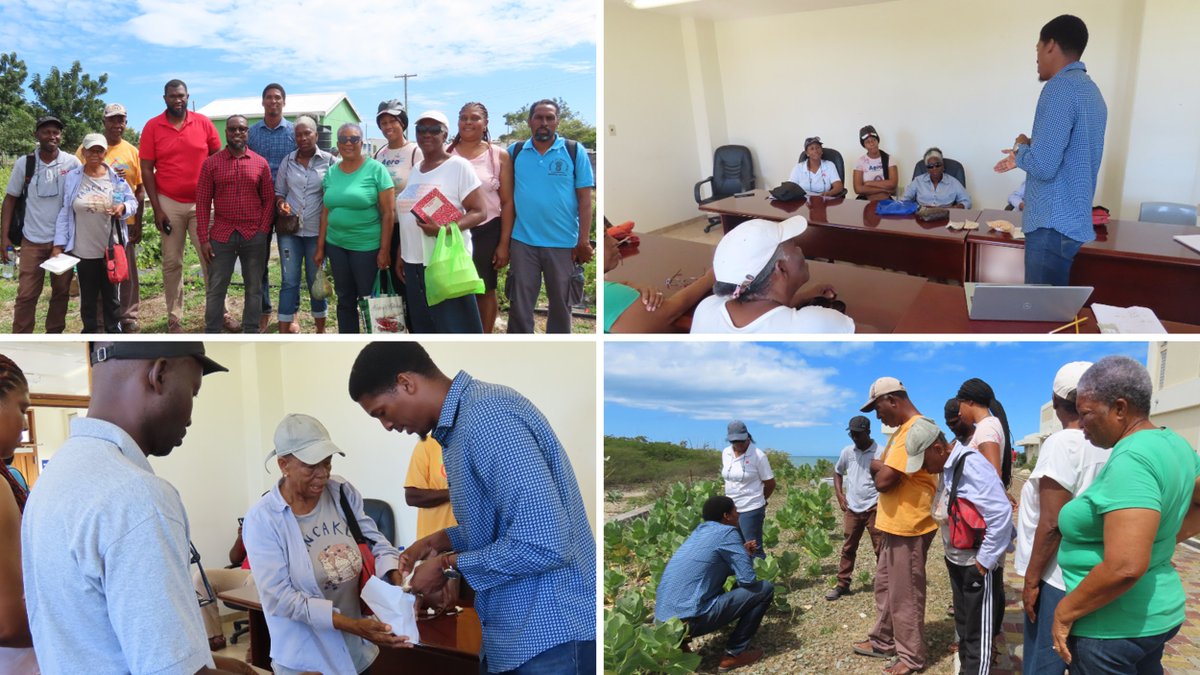 FAO in the Caribbean (@faocaribbean) on Twitter photo Climate change☀️ and water conservation🚰 were the topics of discussion at the Sustainable #Agriculture Workshop in #Barbuda
Farmers worked in the community garden🎍 and received produce from @CARDICaribbean under the <a href="/AMEXCID/">AMEXCID</a> <a href="/SRE_mx/">Relaciones Exteriores</a> <a href="/CARICOMorg/">CARICOM: Caribbean Community</a> project. Climate change☀️ and water conservation🚰 were the topics of discussion at the Sustainable #Agriculture Workshop in #Barbuda
Farmers worked in the community garden🎍 and received produce from @CARDICaribbean under the <a href="/AMEXCID/">AMEXCID</a> <a href="/SRE_mx/">Relaciones Exteriores</a> <a href="/CARICOMorg/">CARICOM: Caribbean Community</a> project.
