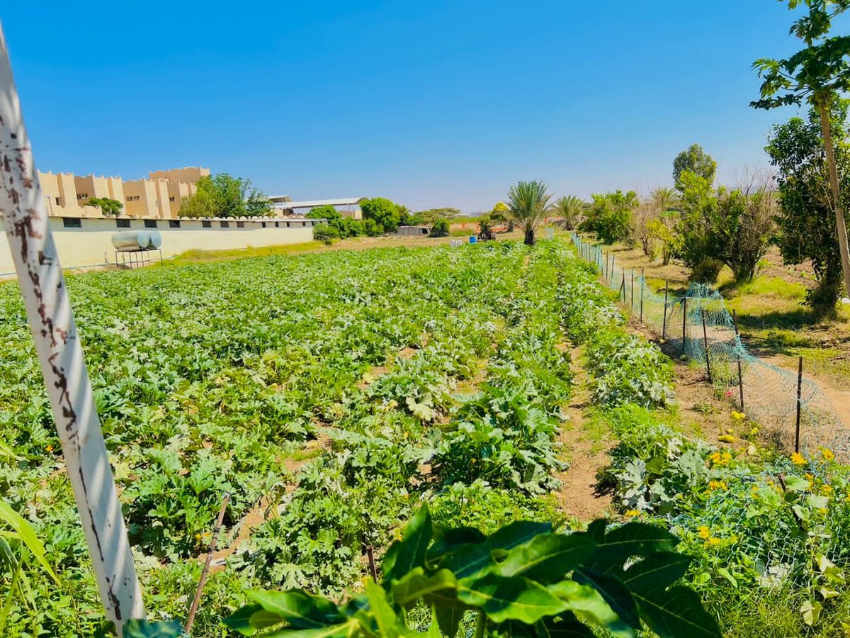 mudanekelly's tweet photo. The next billionaires in Africa will be farmers. 
If you agree like and retweet. https://t.co/lkKvvDvRrb