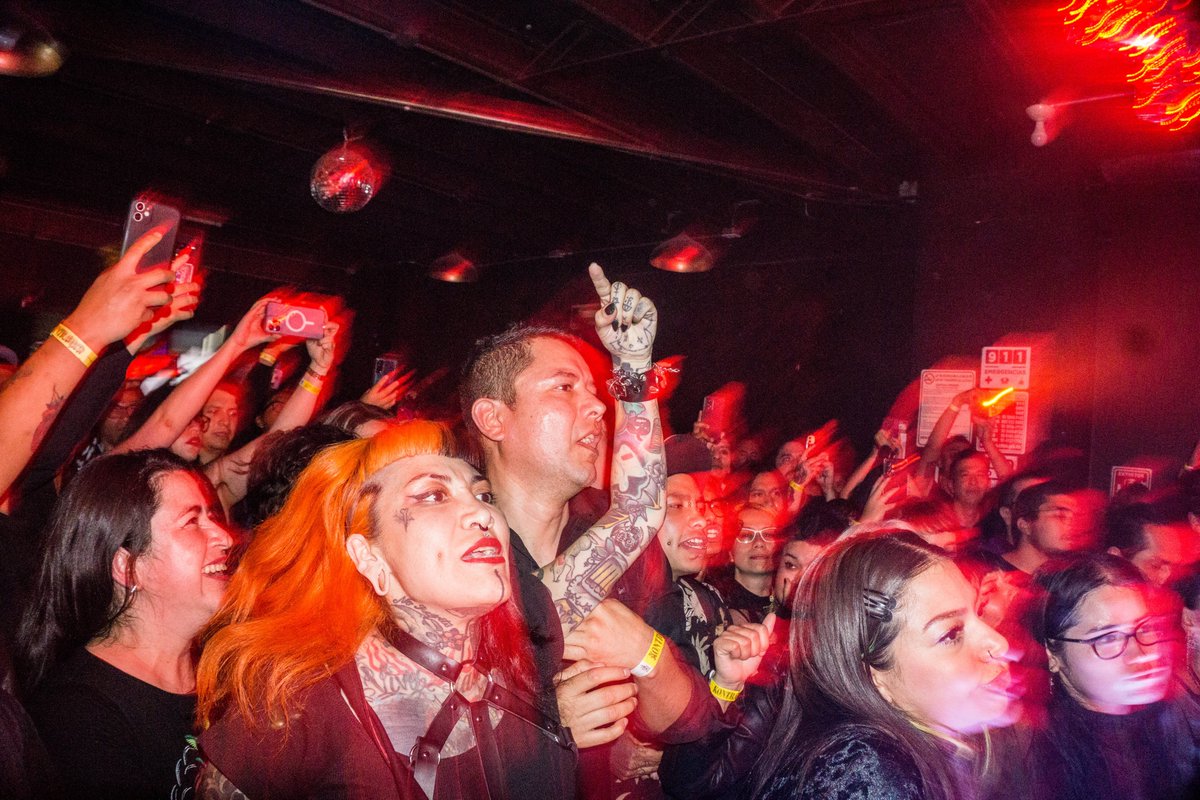 FILTER México tweet media