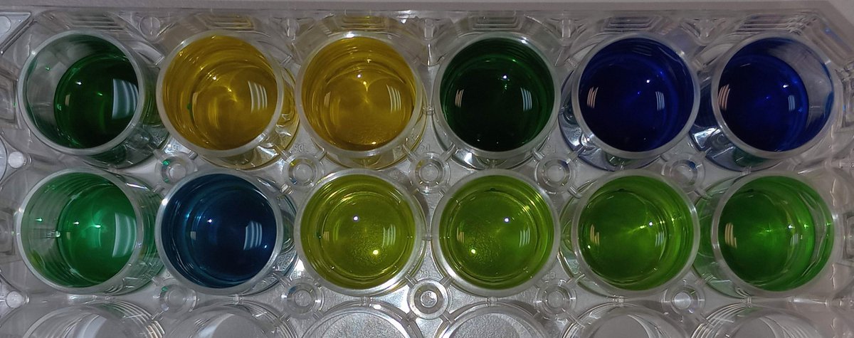 CRUK Manchester Institute (@cruk_mi) on Twitter photo We're looking forward to sharing our new #biomarker activity with students visiting <a href="/AlderleyPark/">Alderley Park</a> tomorrow for #BritishScienceWeek - letting them get a taste for #EarlyDetection, #CancerResearch & #PersonalisedMedicine We're looking forward to sharing our new #biomarker activity with students visiting <a href="/AlderleyPark/">Alderley Park</a> tomorrow for #BritishScienceWeek - letting them get a taste for #EarlyDetection, #CancerResearch & #PersonalisedMedicine