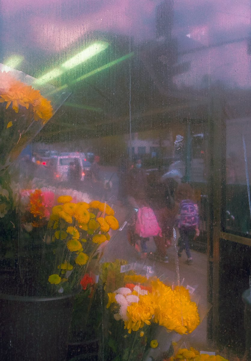 dvdfreeman's tweet photo. New York City vendors on 35mm film https://t.co/OXXC7rBD80