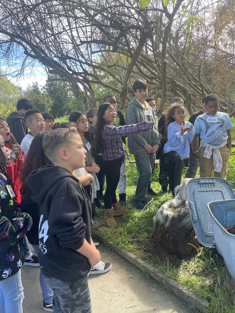 SanPedroCoS's tweet photo. 4th grade students from Taper Avenue Elementary &amp; STEAM Magnet enjoying hands-on gardening experiences at the San Pedro MST Center! #sanpedrocommunityofschools https://t.co/eGkgf9dbHa