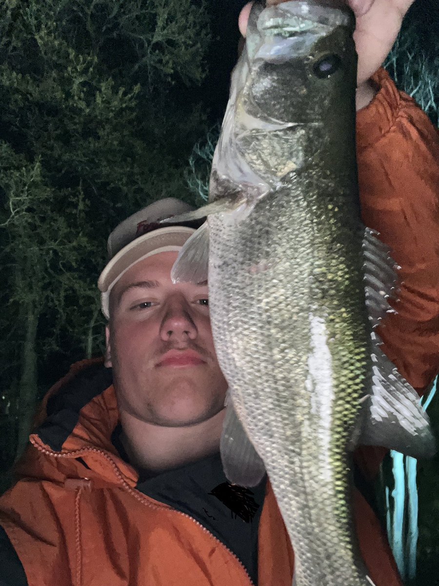 GordonSportsman's tweet image. Yesterday’s Catches. 🎣 #817