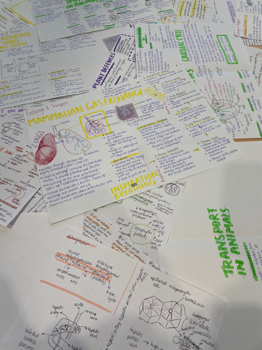 WrennSixthForm's tweet photo. Look at these beautiful revision posters made by Khadija in year 13. 😍 https://t.co/Jdsn4HoTRu