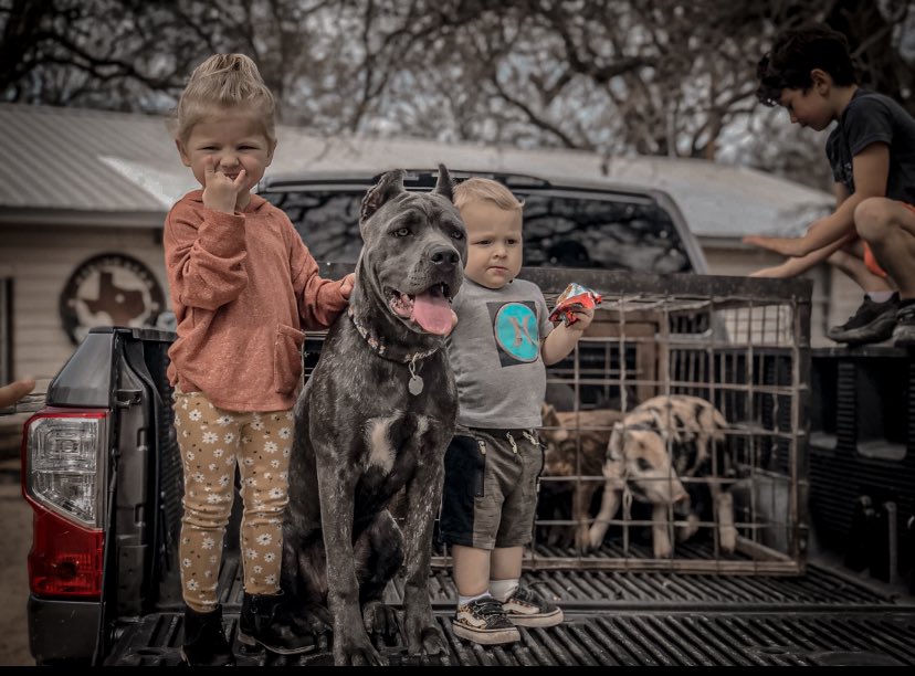 Mercedes Hight-Slaton tweet media