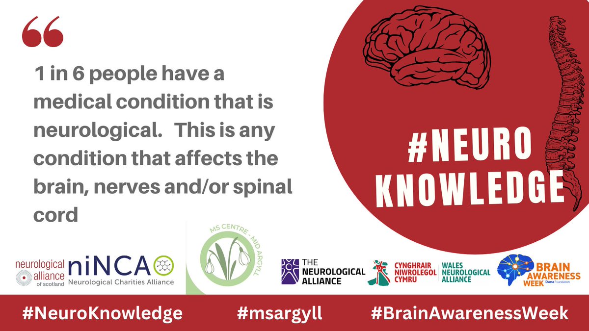 msargyll's tweet photo. All conditions of the brain, spine and nervous system are challenging. We need more support in place for the million people in Scotland who live with this every day. #NeuroKnowledge @NeuroAlScotland @niNCA @NeuroAlliance @NeuroWales #BrainAwarenessWeek #msargyll https://t.co/QQyeDqAJSZ