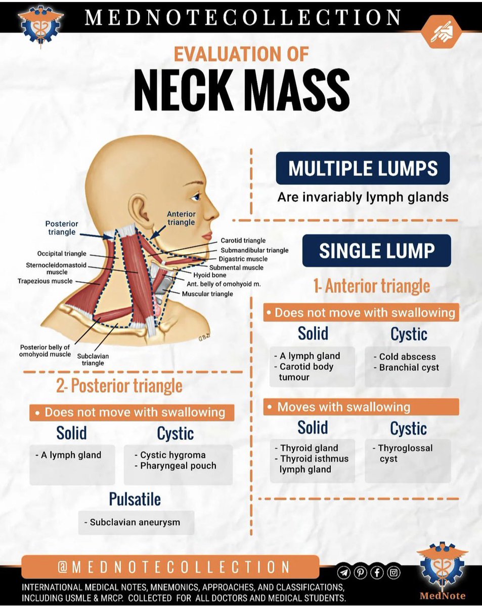 How to approach Neck Mass ❓

#FOAMed #MedEd #MedTwitter #Medical #student #medicalstudent #medicaleducation #ENT #surgery #surgerytwitter