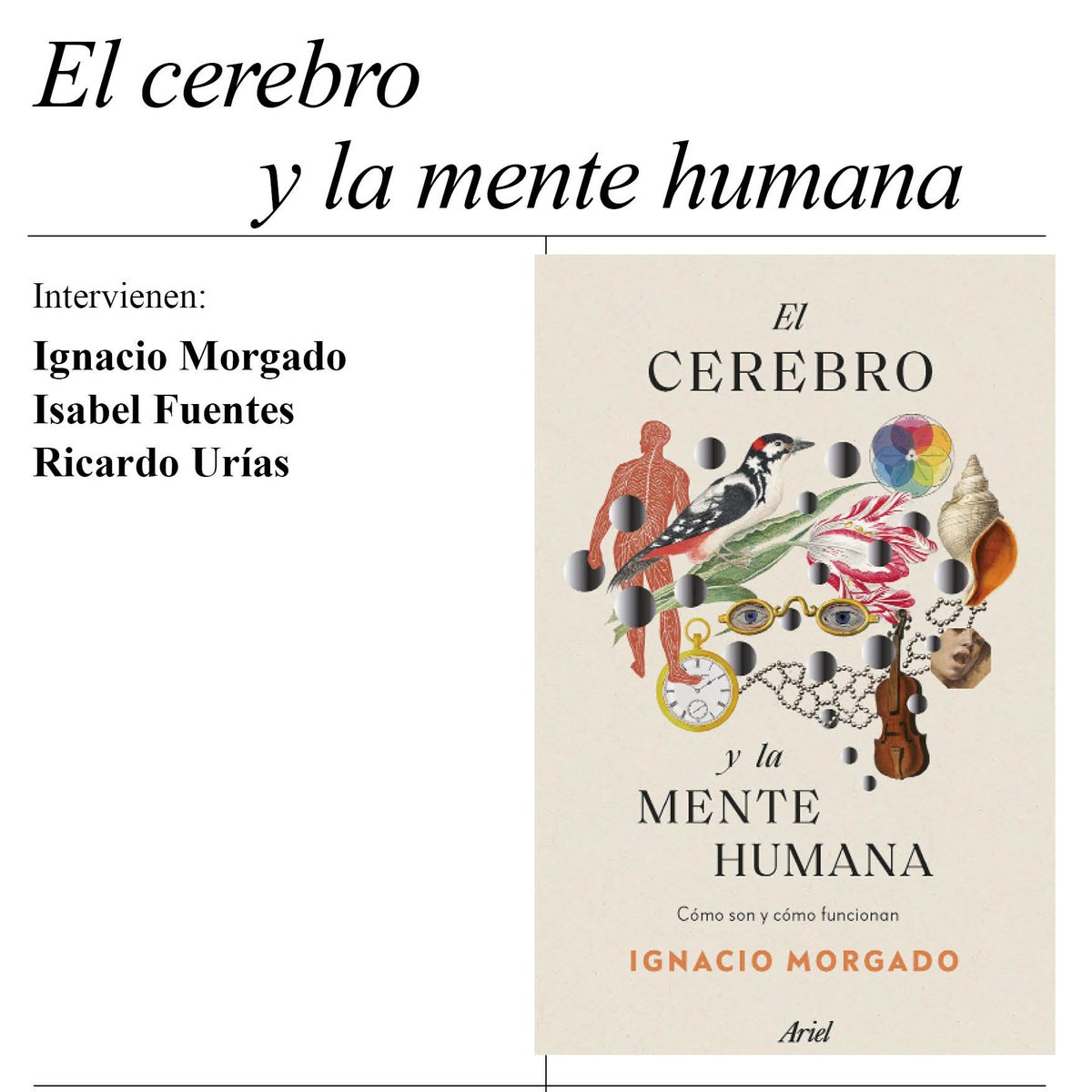 ateneodemadrid's tweet photo. Miércoles 15.19 h. El neurocientífico @IgnacioMorgadoB nos invita a adentrarnos en el órgano más complejo de nuestro cuerpo, el #cerebro. ¿De dónde nacen nuestras ganas de experimentar placer? ¿Cómo creamos recuerdos?. Con #IsabelFuentes y @ricardourias
Entrada libre.#ciencia https://t.co/2Kp9E2Ot4F