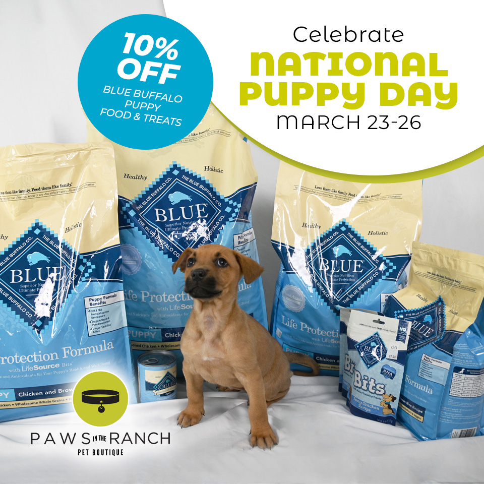 HWAC's tweet photo. Next week on 3/23, we celebrate National Puppy Day! 🐶

Paws In The Ranch Pet Boutique is having a 10% Off Sale March 23-26 on @bluebuffalo puppy food and treats to celebrate! 💙 They are inside our Adoptions building, open 10-6 PM Mon-Fri and 10-6 PM Sat-Sun. https://t.co/PtuTK2Yat2
