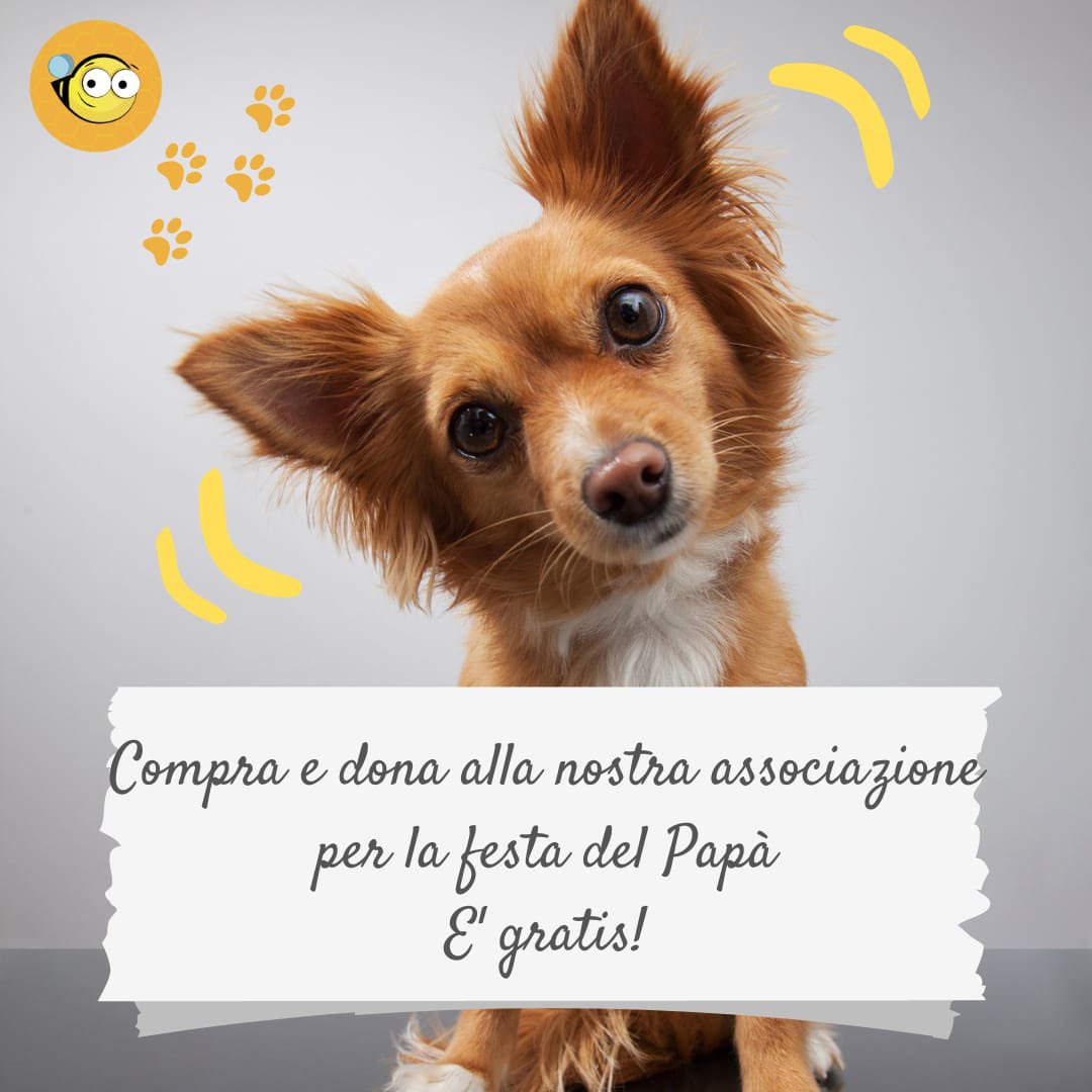 LidaSezOlbia's tweet photo. Se acquisti online su #Amazon il regalo per la #festadelpapà🧔‍♂️, passa per la nostra pagina di Raccolta fondi #Coolbeez https://t.co/z4Hk4Lxntw oppure attiva l'estensione Coolbeez 🐝
🌞Se stai pianificando un viaggio prenota su #Booking passando dalla nostra pagina🧳✈️ https://t.co/nrkVWUpaJ6