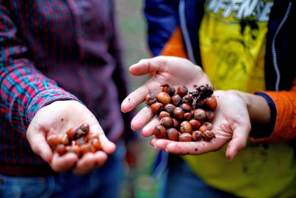 CNFA on Twitter "Since 2015, the &