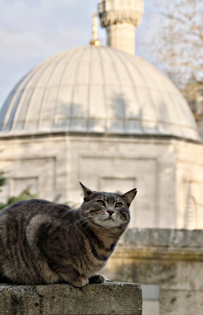 Ziyaret; her yerden. | Eyüp Sultan, 13.03.23
