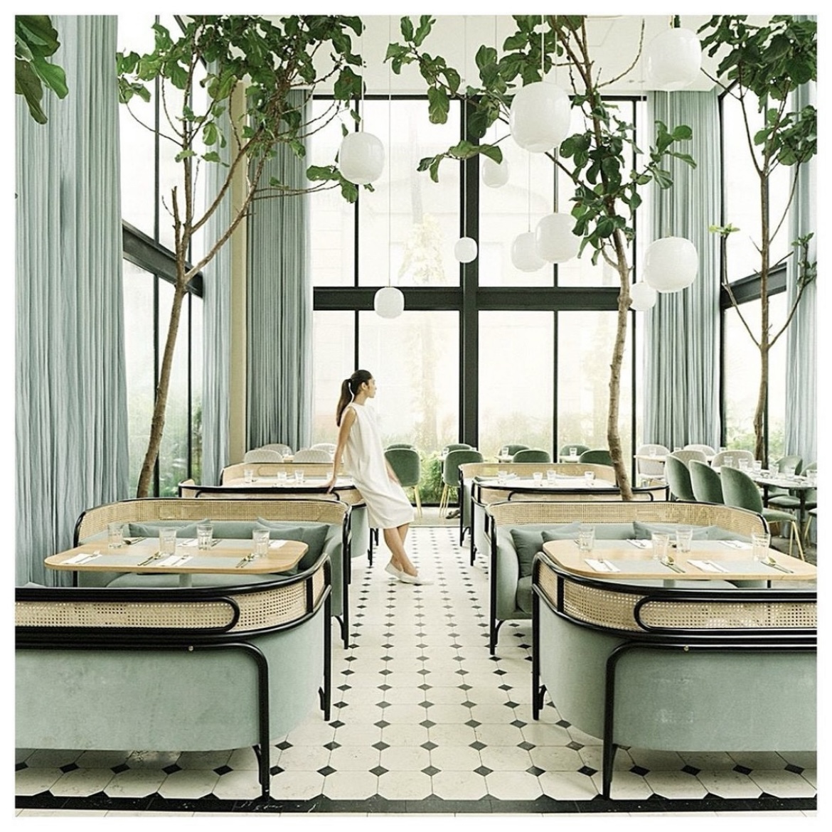 Snyder Diamond tweet media