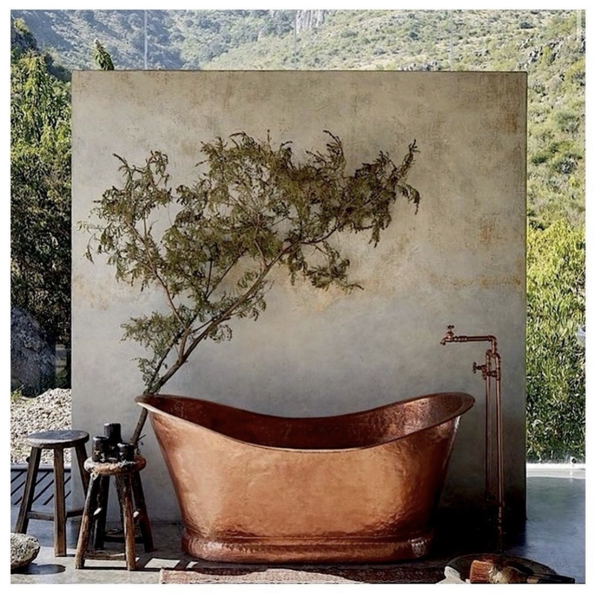 Snyder Diamond tweet media