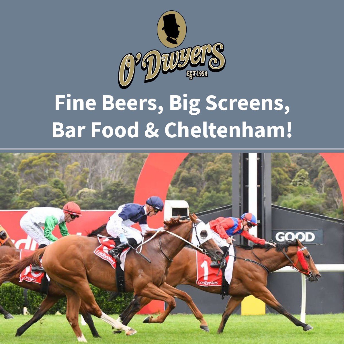 ODwyers_Bar's tweet photo. 🐎 Cheltenham 🐎
Watch live at O’Dwyers Kilmacud 🍻
#SixNations #SixNations2023 #Hemmingways #Kilmacud #stillorgan #dublin #Ireland #restaurant #Reservation #ALaCarte #Menu #2Course #3Course #EarlyBird #EarlyBirdMenu #KidsMenu #bar #seafood #Parties #GiftVoucher #wine #Prosecco https://t.co/0ZWVph01Bp