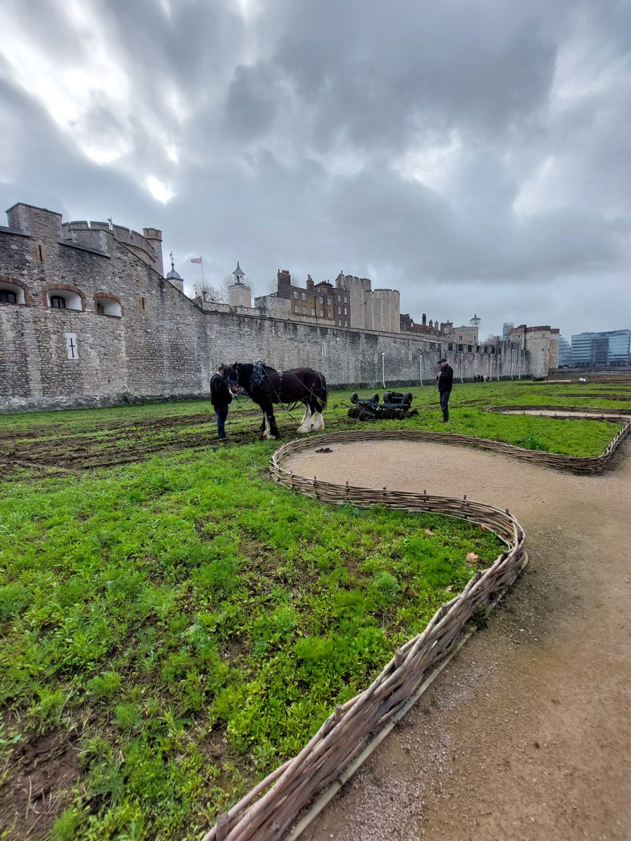 FusiliersLondon's tweet photo. Never a dull day! Spotted this morning: horses and plough in the Tower moat, preparing the ground for another season. @TowerOfLondon #SpringLoading https://t.co/SEpQbhYgro