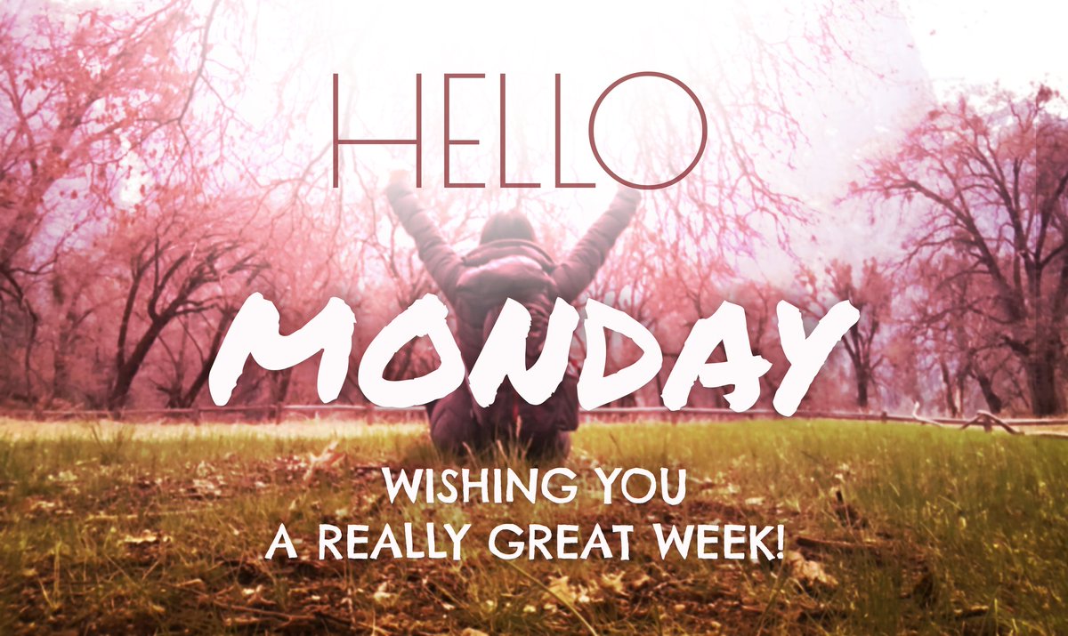 twobears2000's tweet photo. Have a wonderful week tweethearts https://t.co/0yXecnsh2h