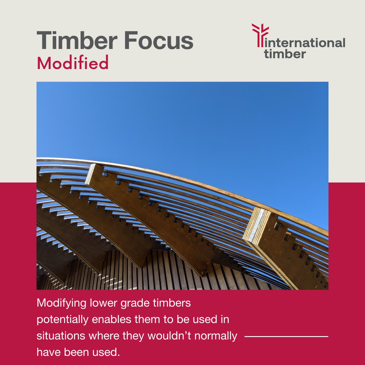 IntlTimber's tweet image. Modified timber offers many benefits over traditional timber, including improved durability and resistance to decay, and fire-retardant properties, all while being eco-friendly. 

Contact us today to learn more about modified timber solutions. #ModifiedTimber #EcoFriendly