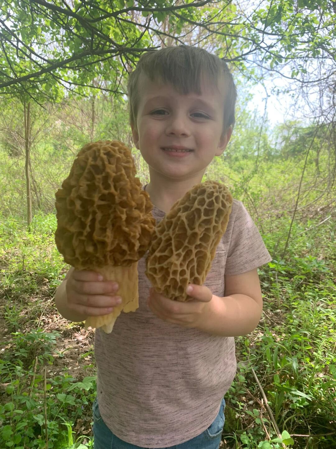 (morelmushroom_) / Twitter