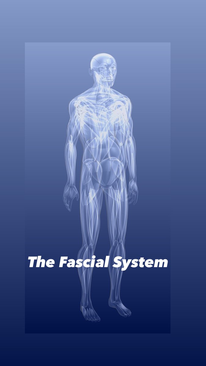 Fascia encases your entire body ONE continuous system, without a ... Biology Diagrams
