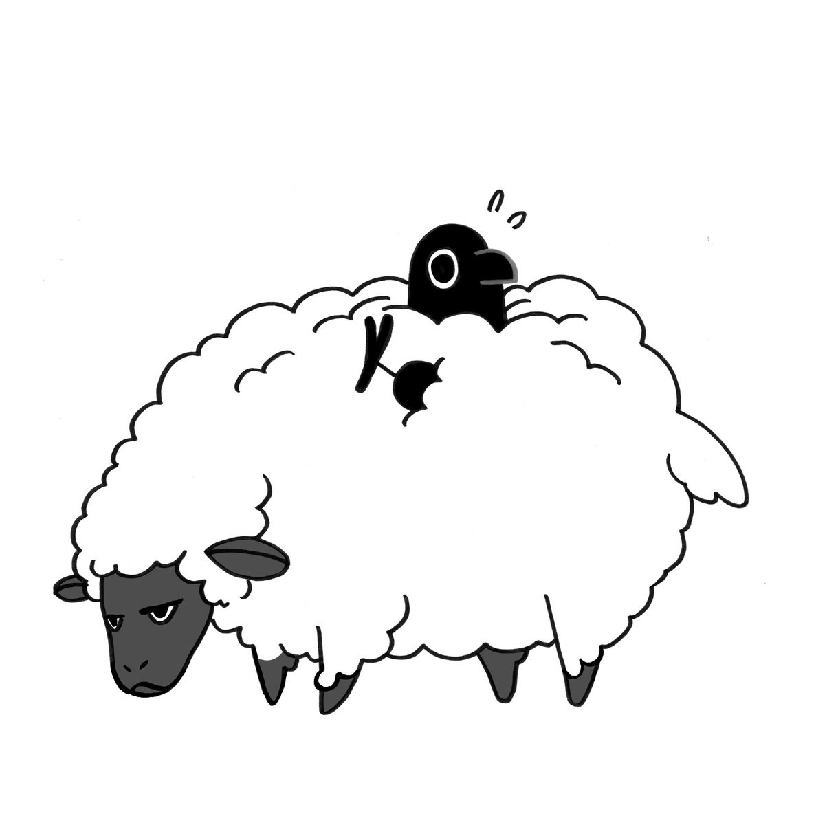 New Crow Time 🐏🐑 (2/2) 