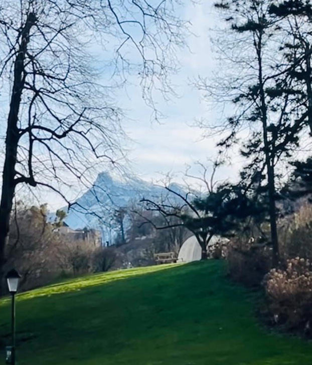 MRI_Yann's tweet photo. Salzburg ... Bright, hot, and magnetic ! A little like @ScinticaInst portfolio of imaging solutions !!! #FirstTweetEver #Sorry. See you tomorrow for #EMIM2023 ! Join us at Booth #315 to discuss your research needs and find out how we can help! https://t.co/TYWv96wsNB