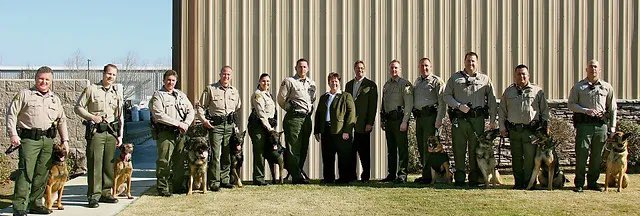 We ❤️ police dogs! With every product you purchase, you help Chef's Pure Pet in providing armored vests for police dogs.
Since 2010, we have provided 100's of police dogs with armored vests thanks to your support and love for our products. ❤️🐾🚔 #chefspurepet #policedog #herodog