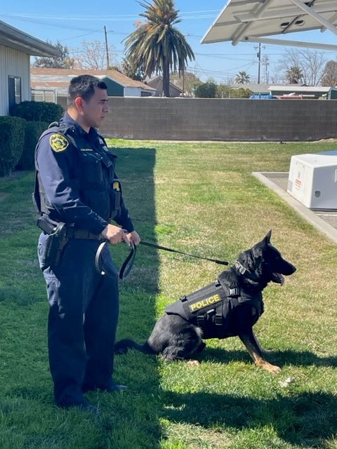 ChefsPurePet's tweet photo. We ❤️ police dogs! With every product you purchase, you help Chef's Pure Pet in providing armored vests for police dogs.
Since 2010, we have provided 100's of police dogs with armored vests thanks to your support and love for our products. ❤️🐾🚔 #chefspurepet #policedog #herodog https://t.co/MWK3WkdnHC
