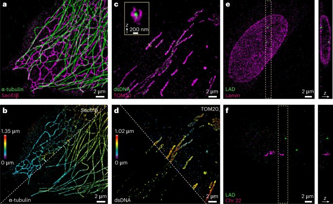 An integrated platform for high-throughput nanoscopy go.nature.com/3T8ZsrT
