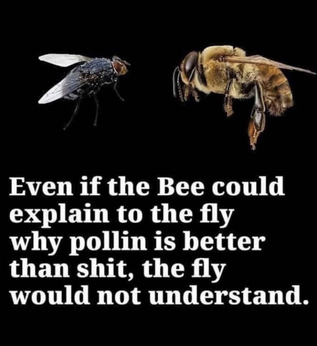 Focuslane's tweet photo. #LIFE #FACTS #OVERSTANDING https://t.co/vGSr69kRKq