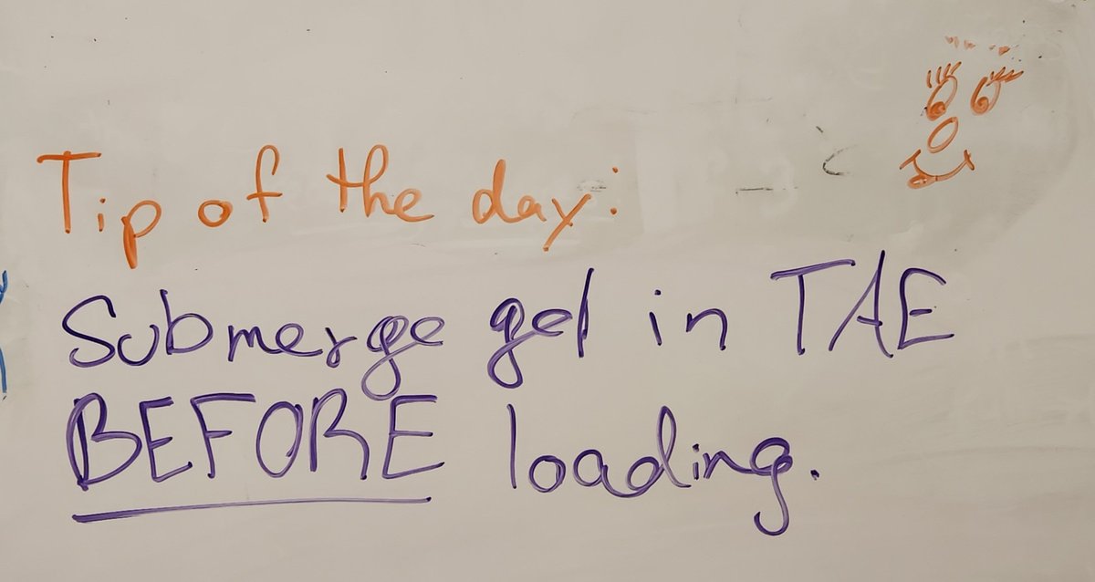 Femila L. Manoj | பெமிலா மனோஜ் tweet media