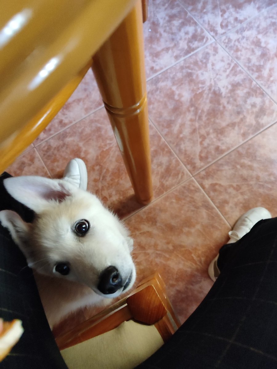 estherconh_ tweet media