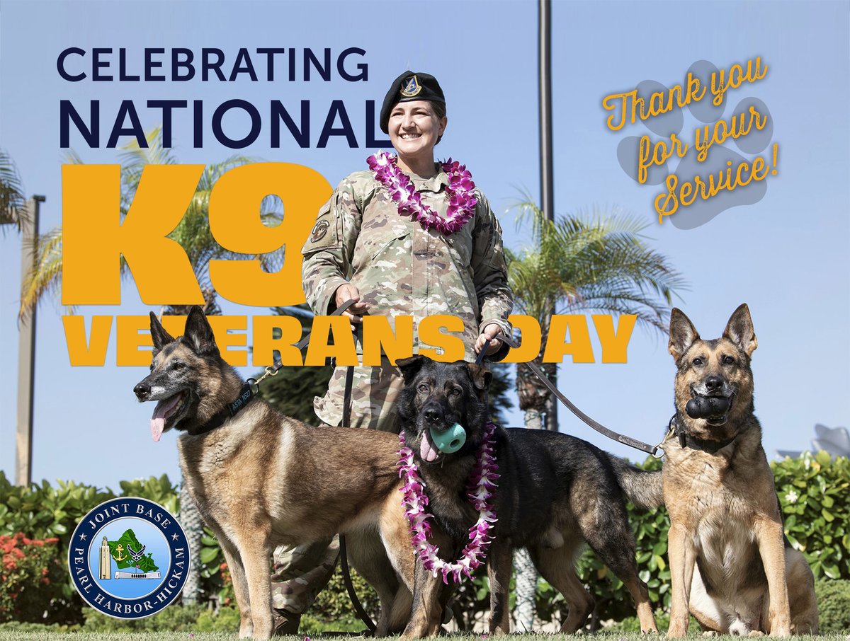JointBasePHH's tweet photo. #K9VeteransDay2023 Today we honor &amp; commemorate the service and sacrifices of American military working dogs throughout history. #thankyouforyourservice  #647ABG #647SFS https://t.co/eW3OlOAxQb
